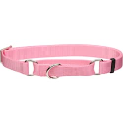 quick release dog collar petco