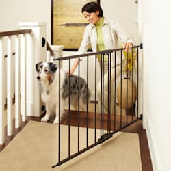 short dog gate for stairs