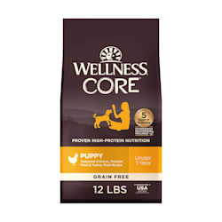 petco wellness core cat food