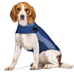 petstock thundershirt