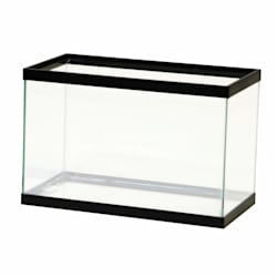 Aqueon Standard Glass Aquarium Tank 5.5 Gallon