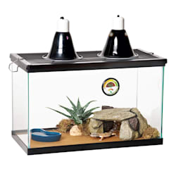 petco hexagon fish tank