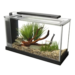 petco 60 gallon tank