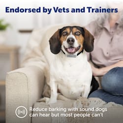 ultrasonic remote trainer