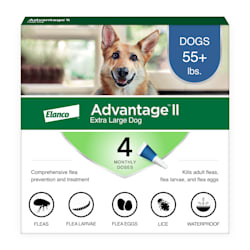 best otc flea treatment for dogs