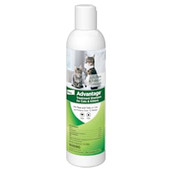 ringworm treatment for cats petco