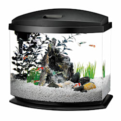 aqueon 13 gallon widescreen petco