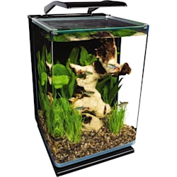 petco 60 gallon tank