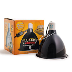 reptile lamps for sale