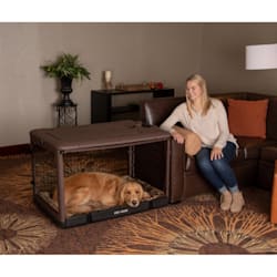 large dog stroller petco