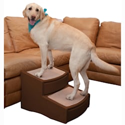 Featured image of post Step Stools For Dogs : You may want to try this technique.