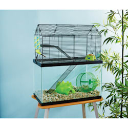 Mouse store cage accessories