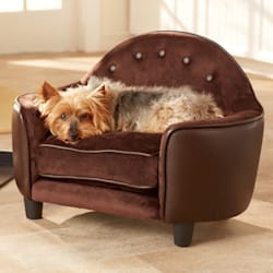 dog sofa seat