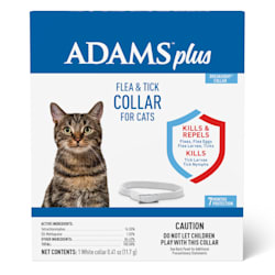 flea dip for cats petco