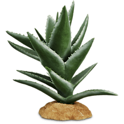 Imagitarium Aloe Plant Reptile Decor