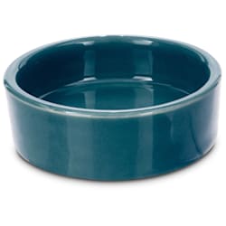 Imagitarium Ceramic Terrarium Dish for Reptiles