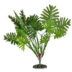 Imagitarium Sago Palm Terrarium Plant