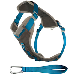 dog seat belt harness petco