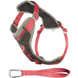 no jump harness petco