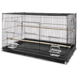 Conure 2024 cage petco