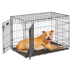 medium dog crate near me