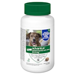 flea pills for dogs online