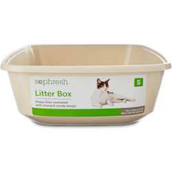So Phresh Open Kitten Litter Box in Linen