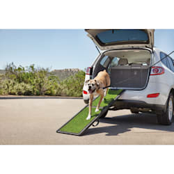 petco dog stairs for bed