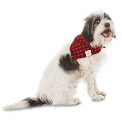 petco dog christmas outfits