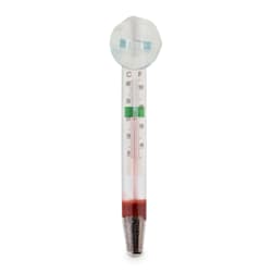Imagitarium Glass Thermometer