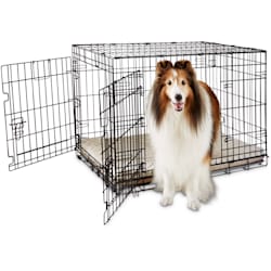 You & Me 2-Door Folding Dog Crate