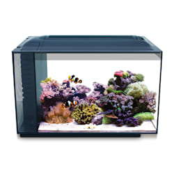Fluval EVO XII Marine Aquarium Kit