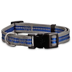 petco led collar