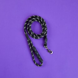hands free leash petco