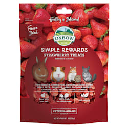 Oxbow Simple Rewards Strawberry Small Animal Treats