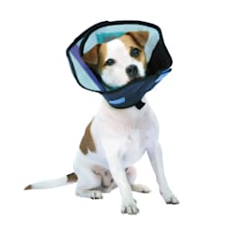 inflatable dog cone petco