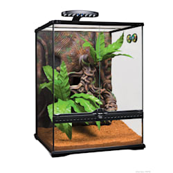 Exo Terra Crested Gecko Kit Large