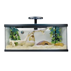 Exo Terra Snake Starter Kit