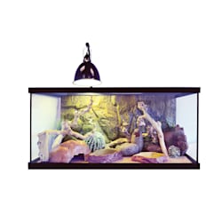 all living things 40 gallon desert reptile starter kit