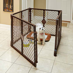 puppy playpen petco