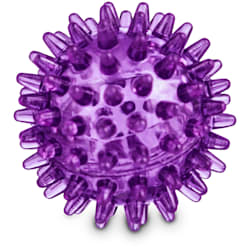 Leaps & Bounds Romp and Run Spiny Ball Dog Toy in Assorted Colors