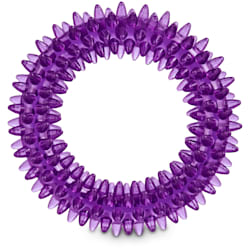 Leaps & Bounds Romp and Run Spiny Ring Dog Toy in Assorted Colors