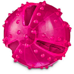 Leaps & Bounds Chomp and Chew Crinkle Ball Dog Toy in Assorted Colors