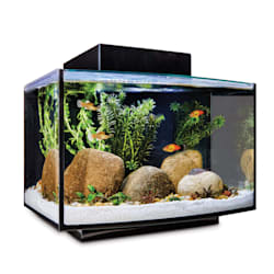 Imagitarium Platform Freshwater Aquarium Kit