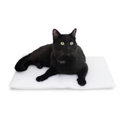 petco heated cat house