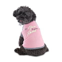bond and company dog clothes