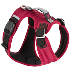 escape proof dog harness petco