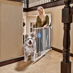 You & Me Stairway Walk-Thru Pet Gate