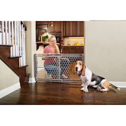 petco extra wide pet gates