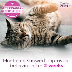 petco calming collar